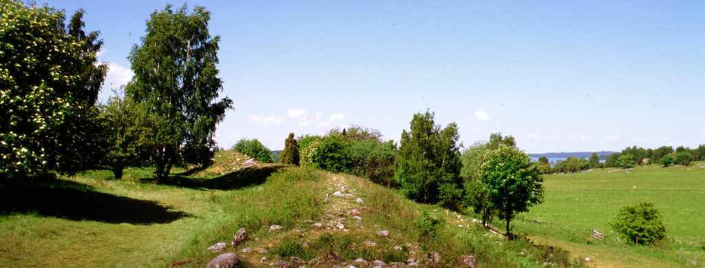 Träd och buskar en solig sommardag.