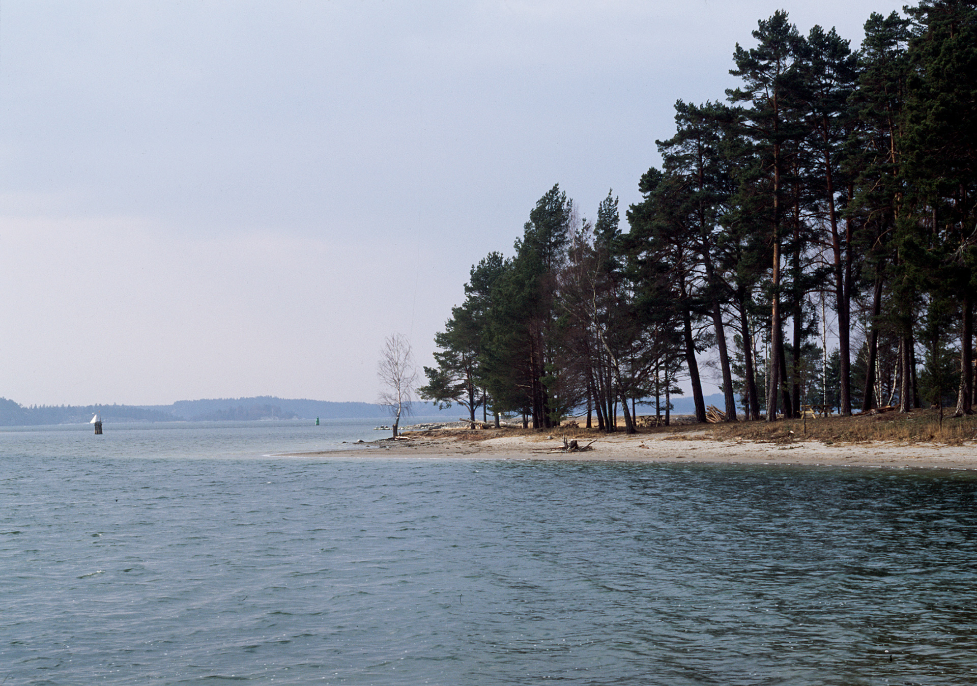 En udde där det växer träd på sticker ut i vattnet.