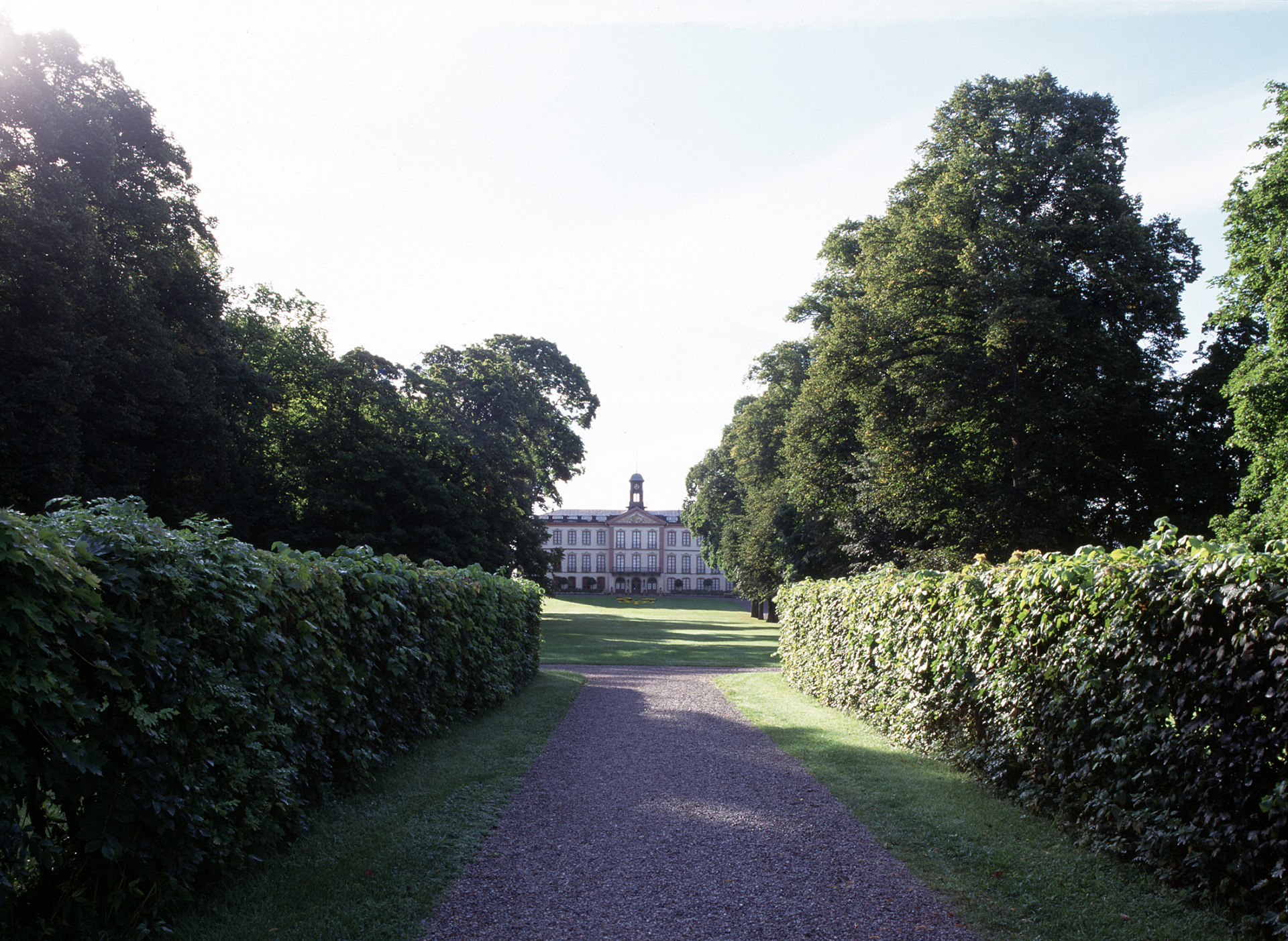 I förgrunden är det buskar, i bakgrunden av bilden syns ett stort hus.
