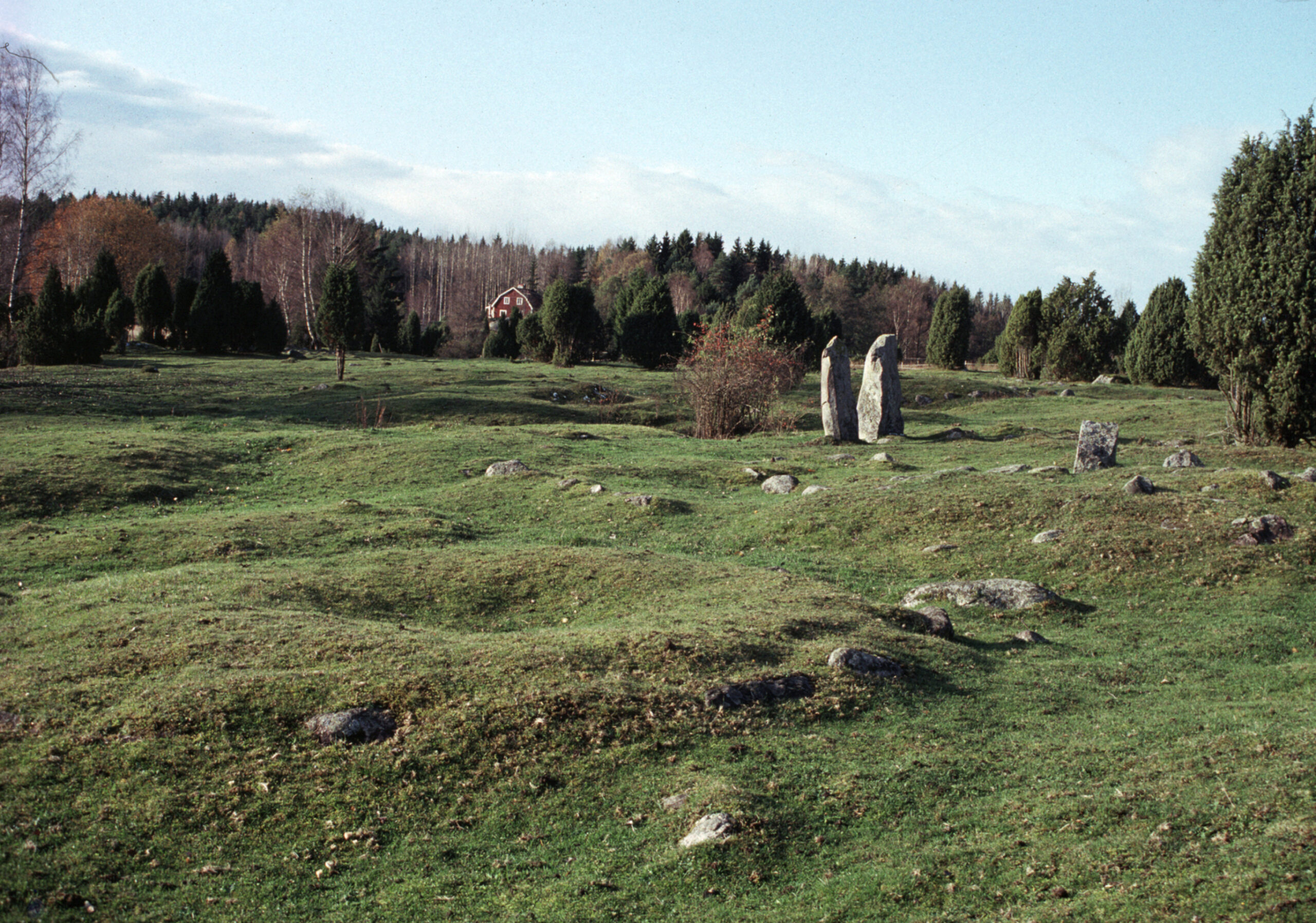 Två spetsiga stenar på ojämn gräsplätt. Det är sommar.