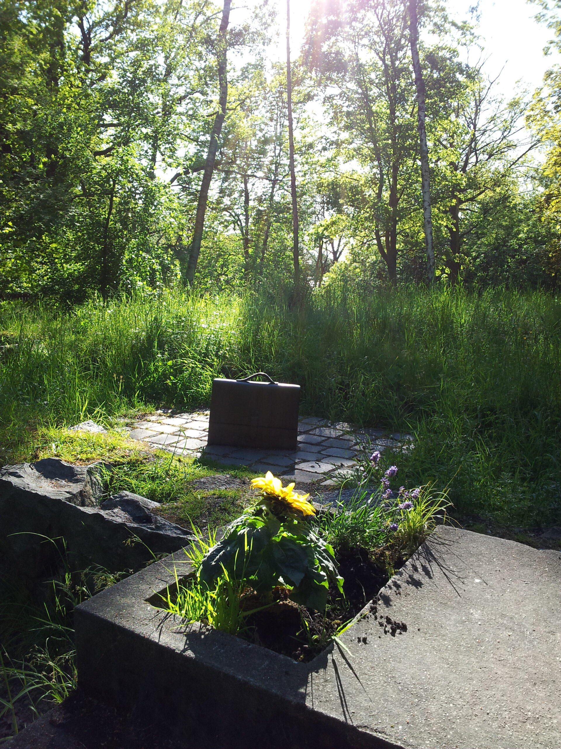 Skulptur av en portfölj, omgiven av grönska.