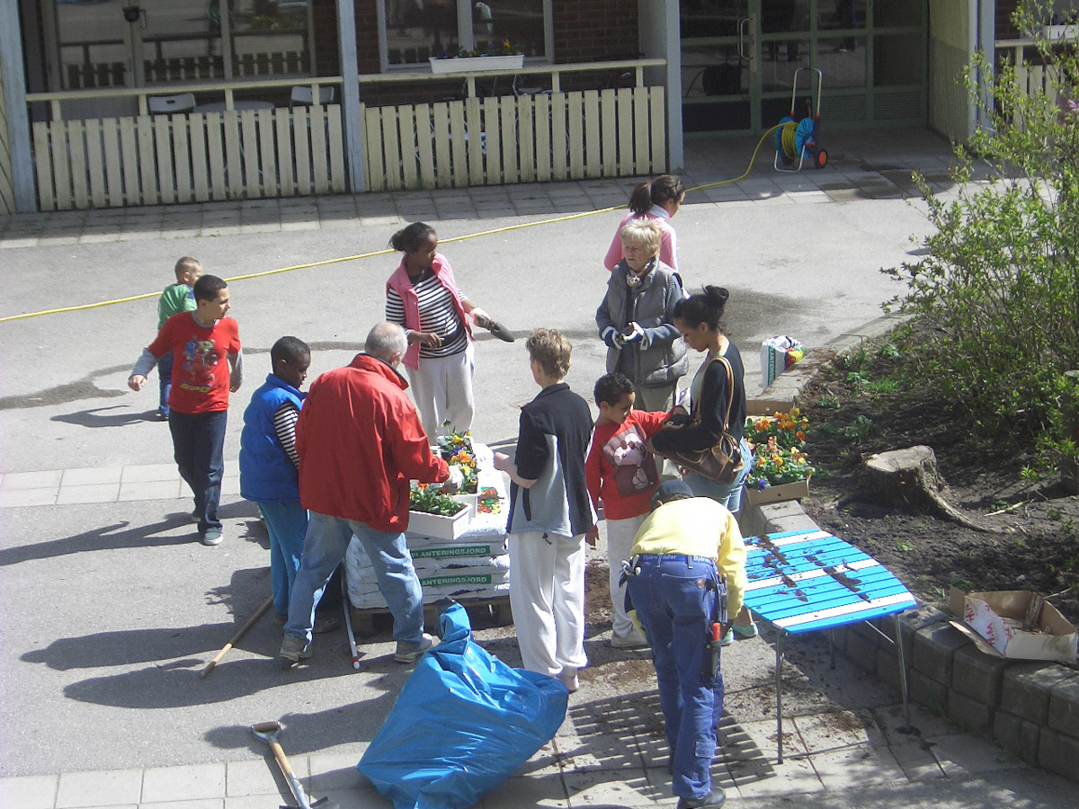 Blomplantering. En dag som man har möjlighet att träffa sina grannar och göra något gemensamt.