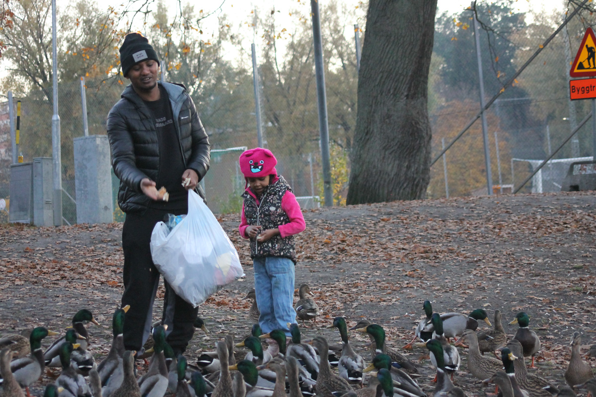 ...fler som kommer ner till sjön!  Ja, va brukar man säga; kommer en så kommer det flera...