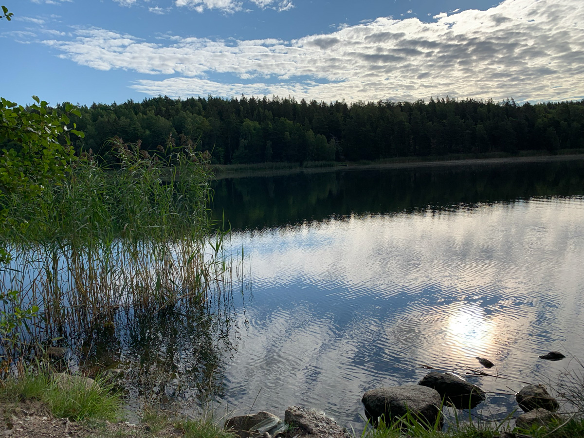 Tidigt morgondopp​