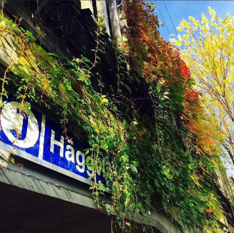 Häggvik station​.