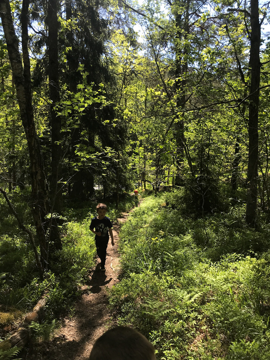 Orientering i Sollentuna​  Barnen på jakt efter kontroll i skogen vid Landsnora.