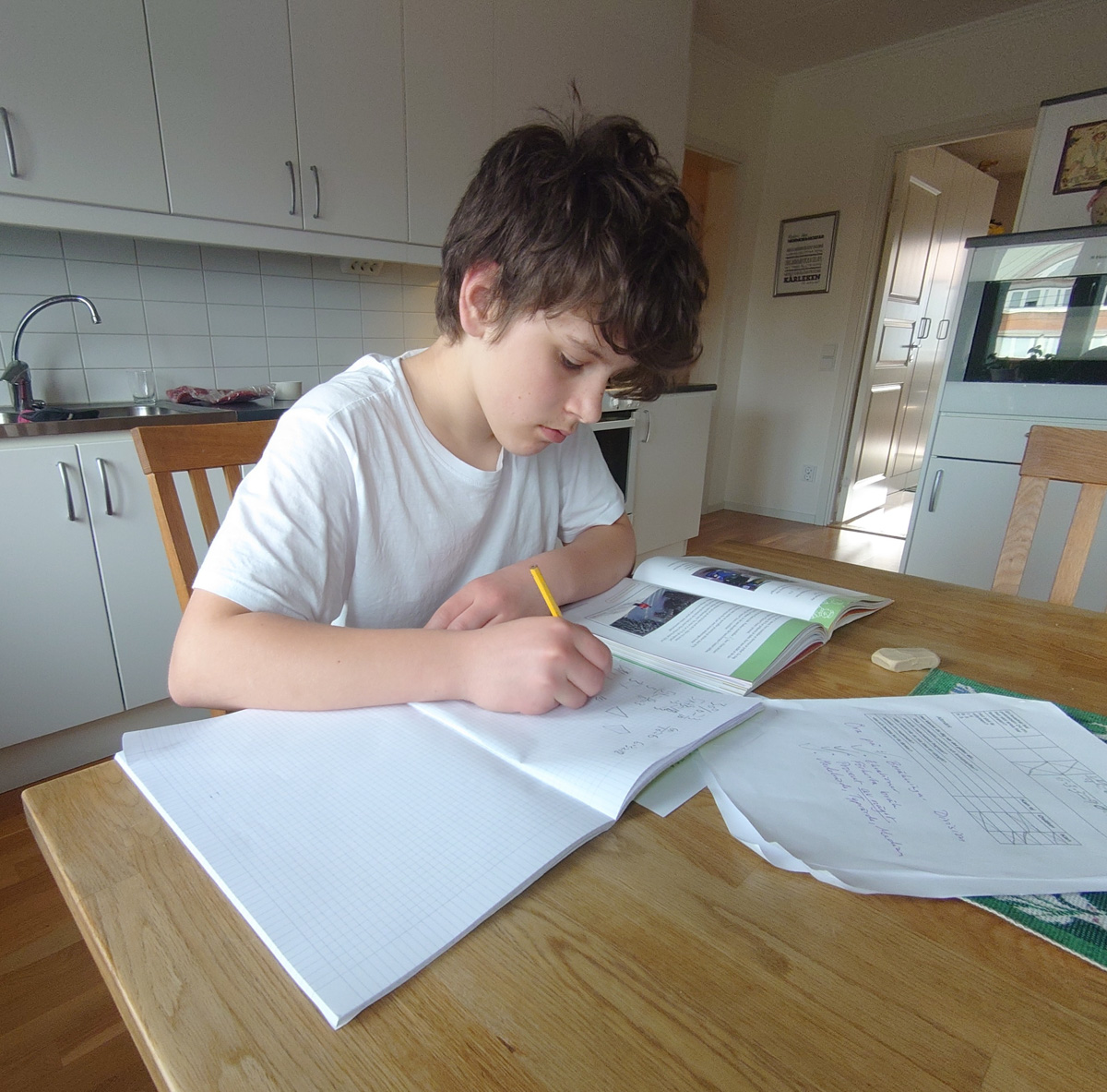 Studier​. Förberedelser inför nationellt prov i matematik för Åk 6​.