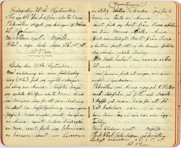 Ett uppslag ur gammal handskriven dagbok.