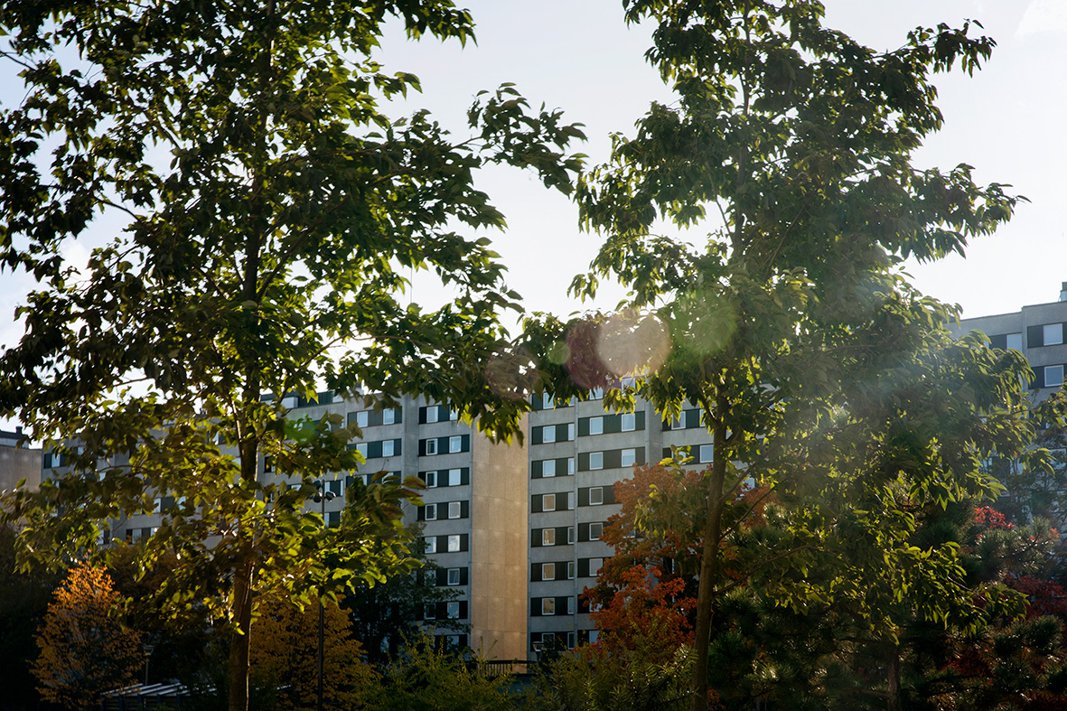 Ett flerbostadshus fotat genom trädgrenar, solljuset reflekteras i linsen.