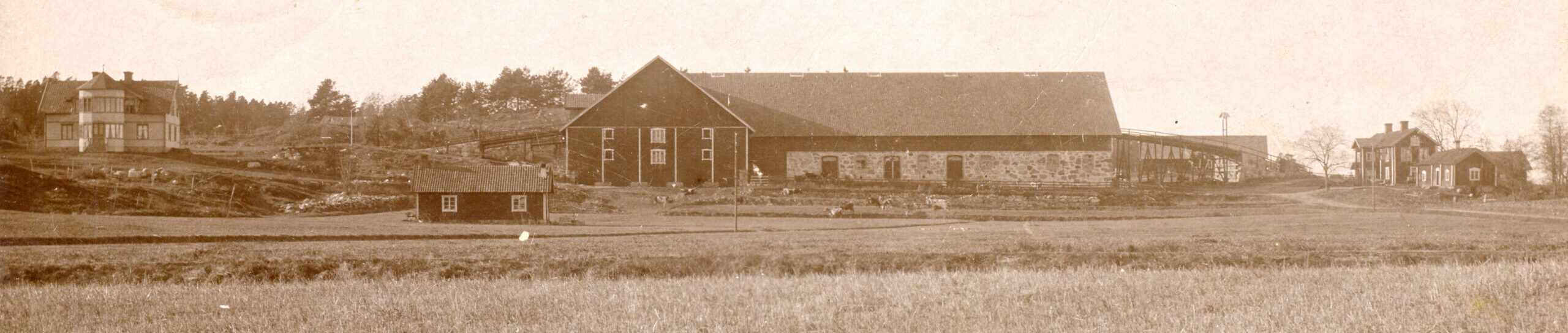 En stor gård med flera hus.