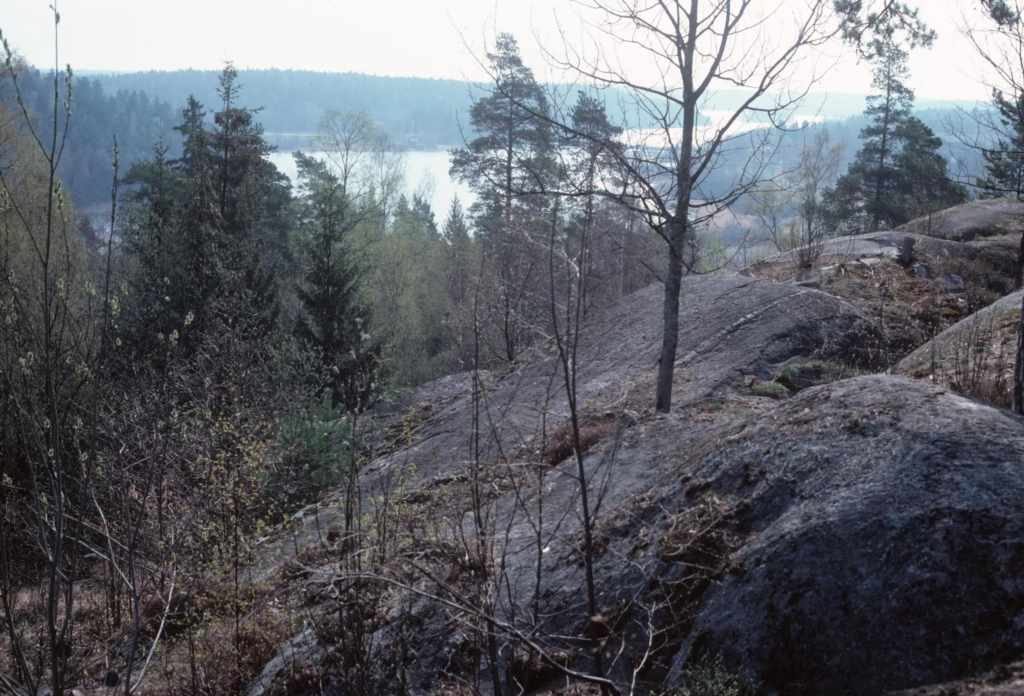 Bergstopp med utsikt över vik i bakgrunden.