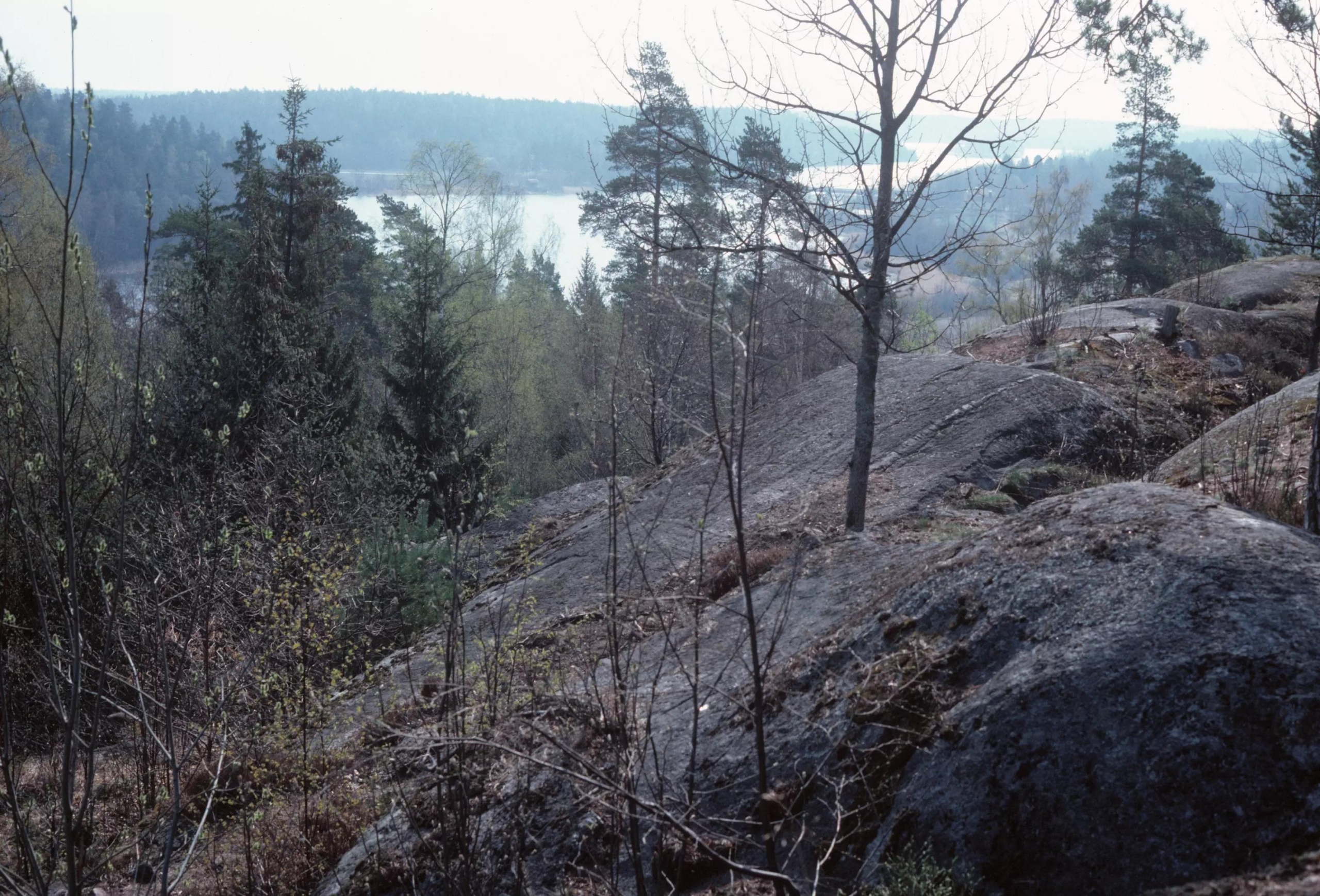 Bergstopp med utsikt över vik i bakgrunden.