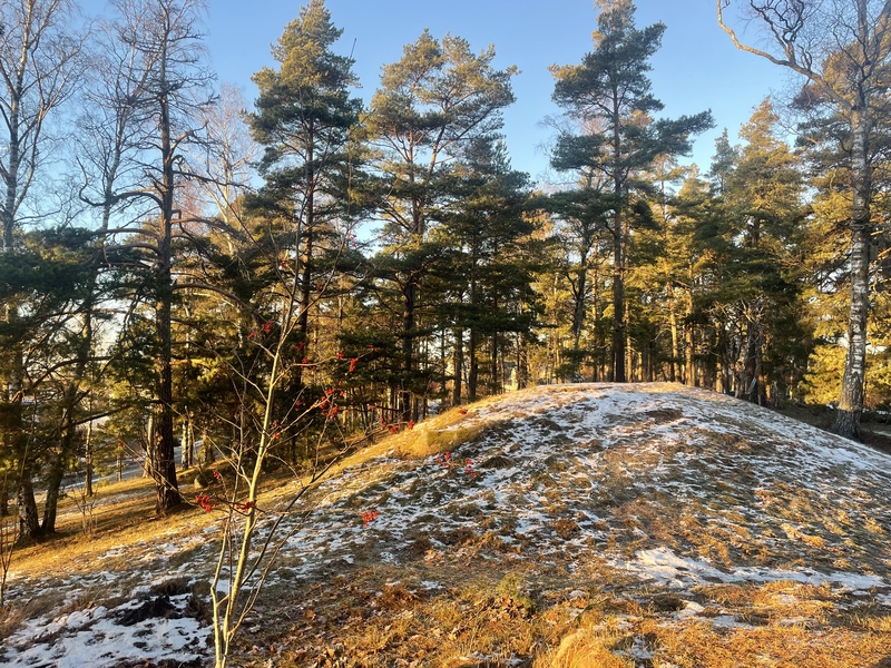 Kulle med träd bakom.