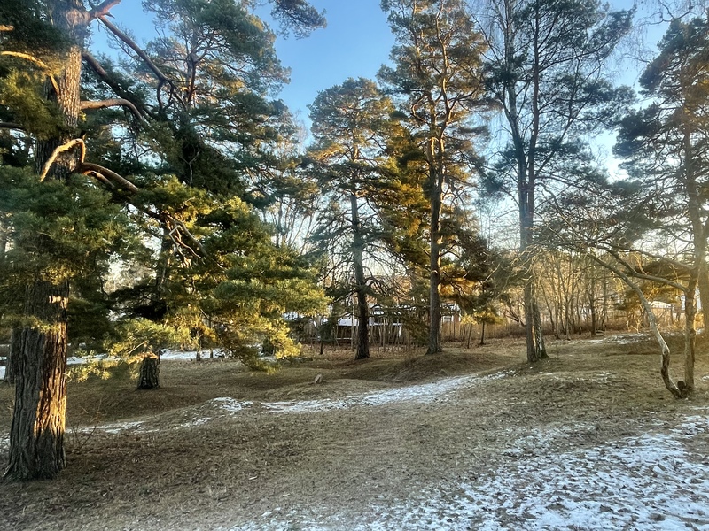 Gräsmatta med små kullar och träd som står glest. Mellan träden syns villor.