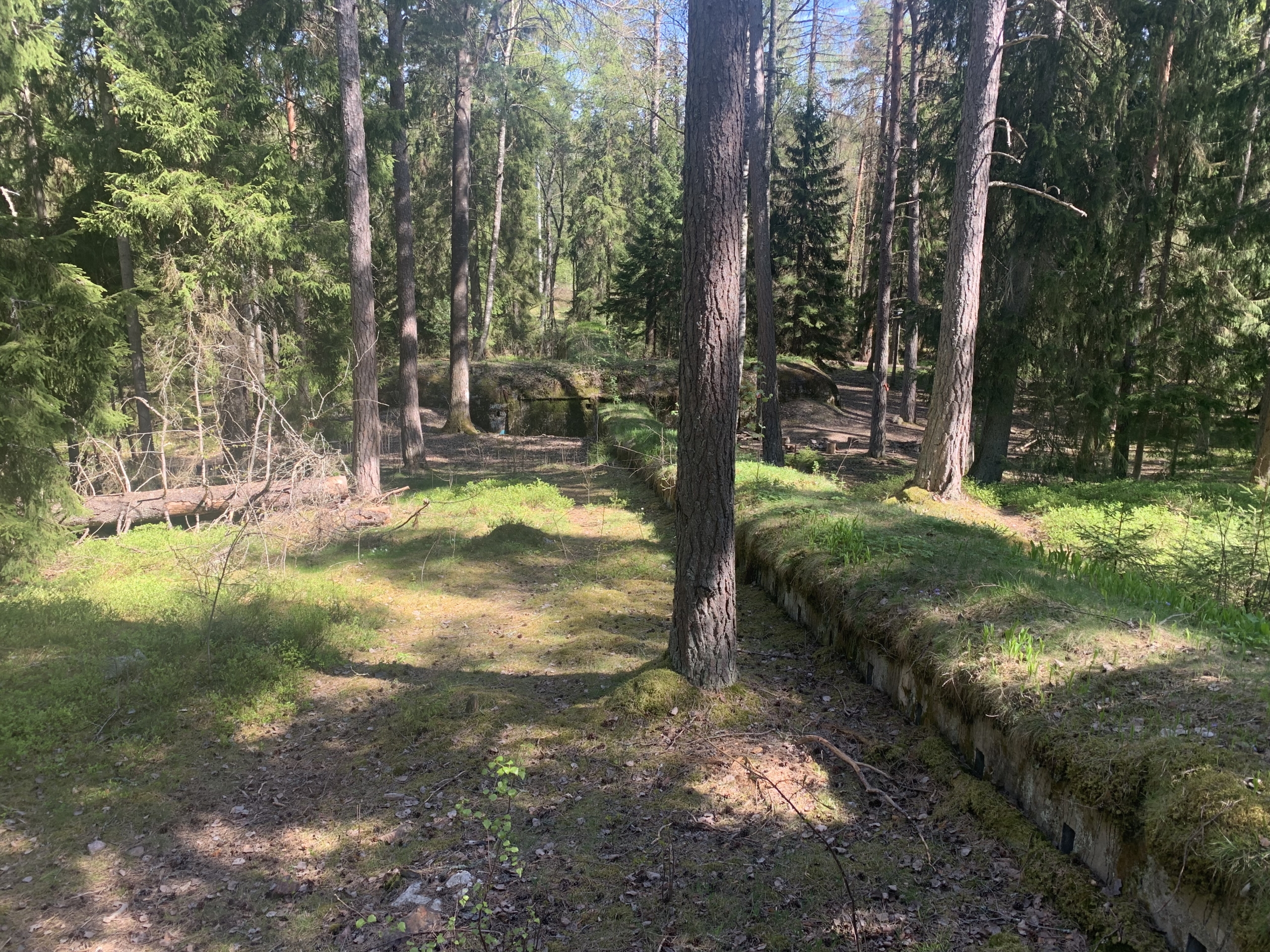 Mellan träden i en skog syns den övergivna försvarsanläggningen.