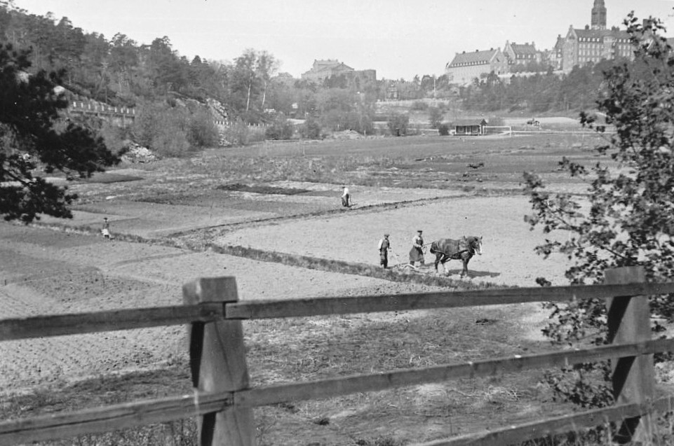 Bakom trästaketet i förgrunden syns en åker där några personer och en häst arbetar. I bakgrunden syns Danvikshems pampiga sjukhusbyggnad på ett berg.