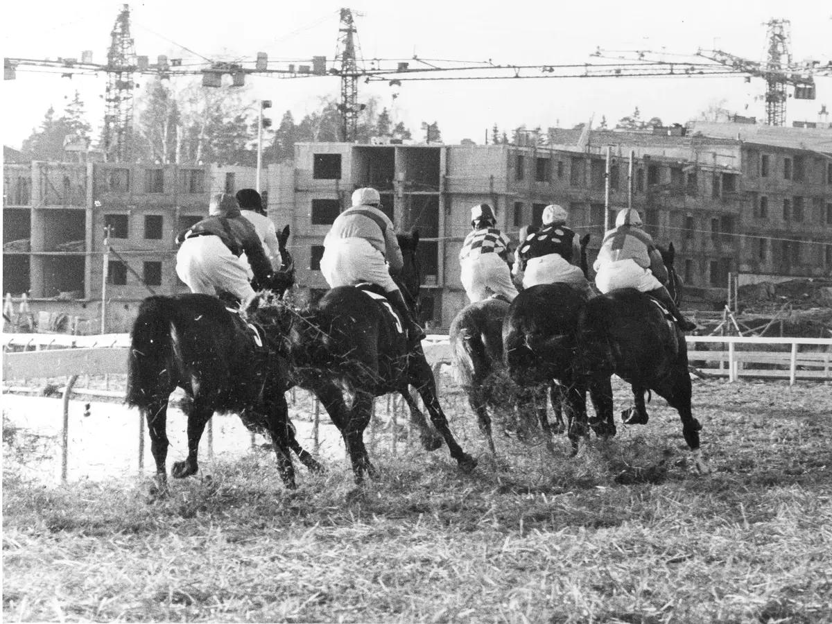 Hästar galopperar fram på en bana med jockeys på ryggarna. I bakgrunden syns hus som byggs.