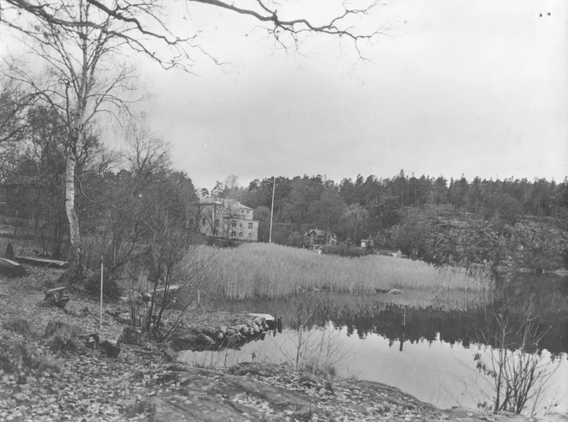 Svartvitt foto av en vik med vass och ett stort hus.