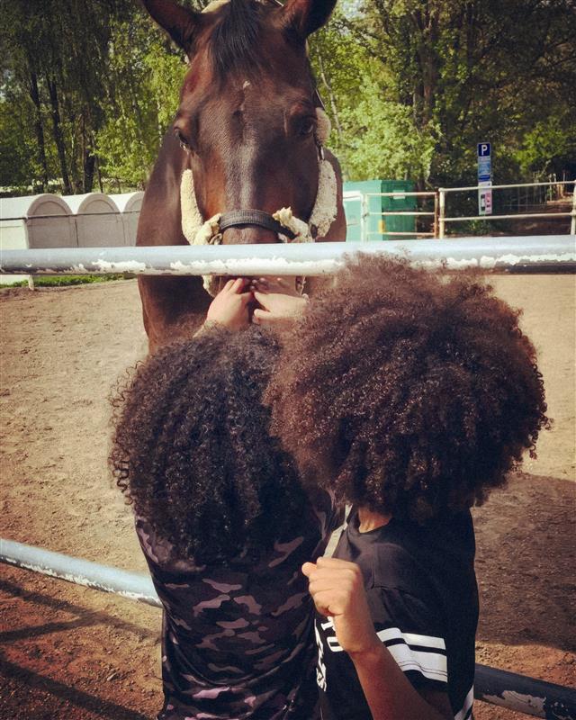 Två barn hälsar på en häst.