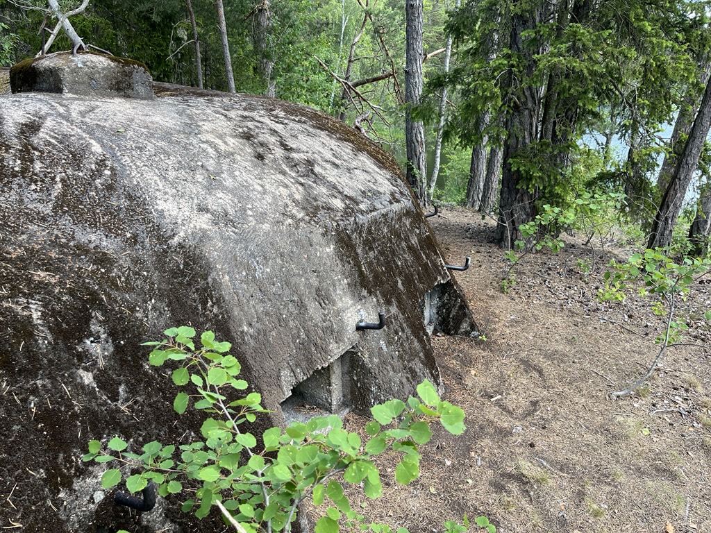 Taket av bunkern sticker upp i skogen och i bakgrunden syns sjön.