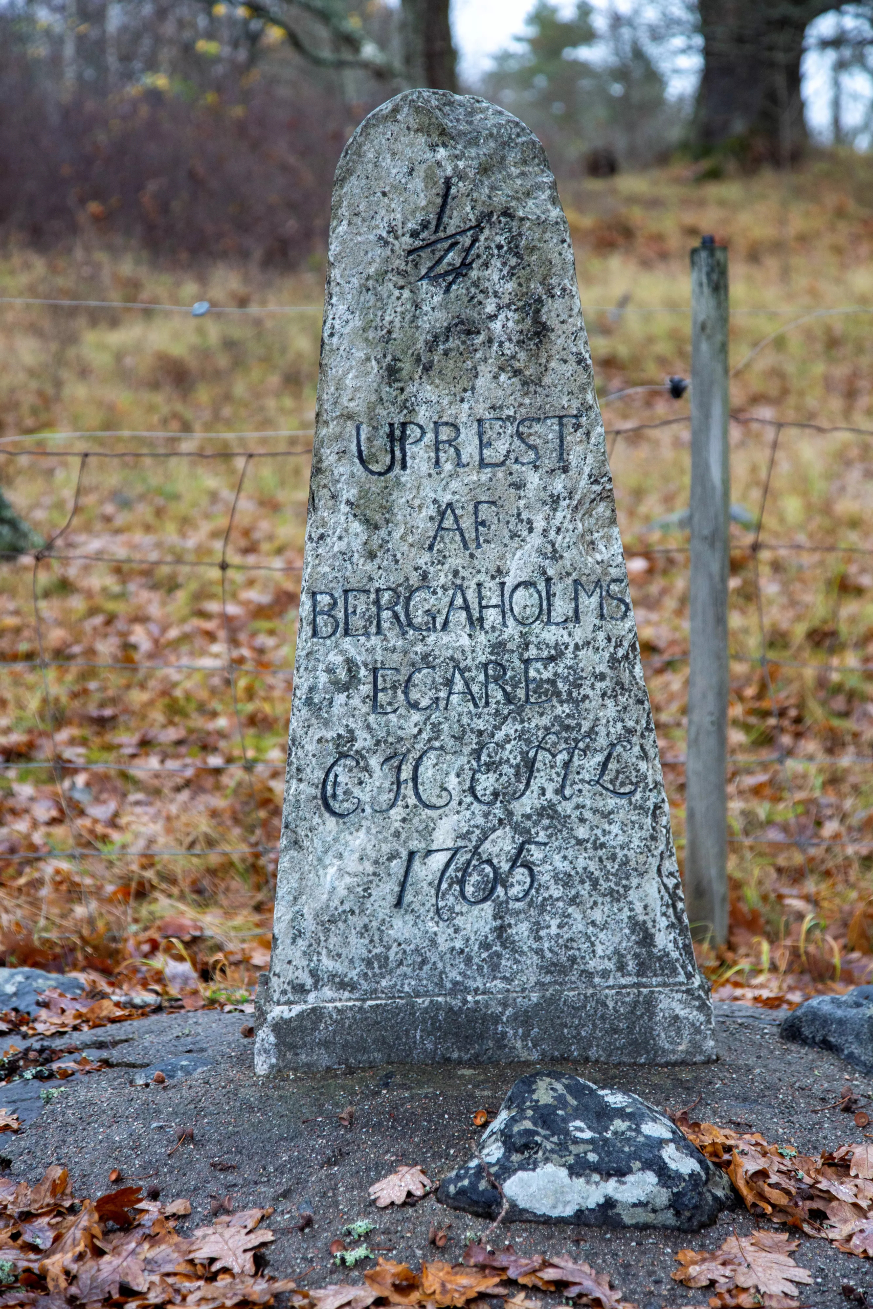 En upprätt grå sten med texten. Text: "Uprest af Bergaholms egare C.J.C:E.M.L. 1765" (Carl Johan Cronstedt och dennes maka Eva Margareta Lagerberg.)