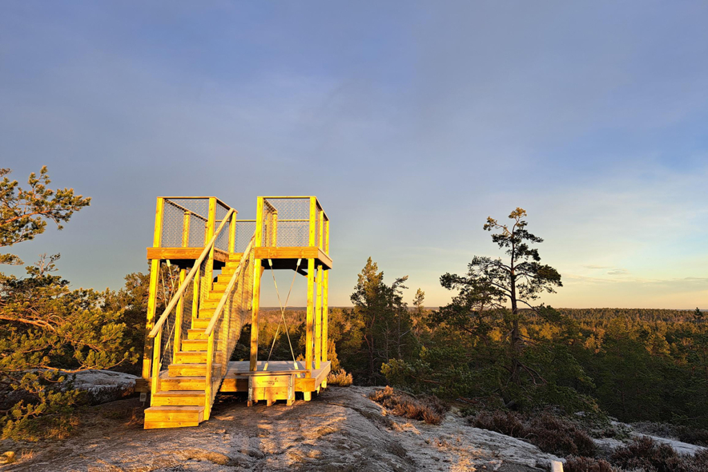 Tornet i solbelyst trä höjer sig över horisonten.